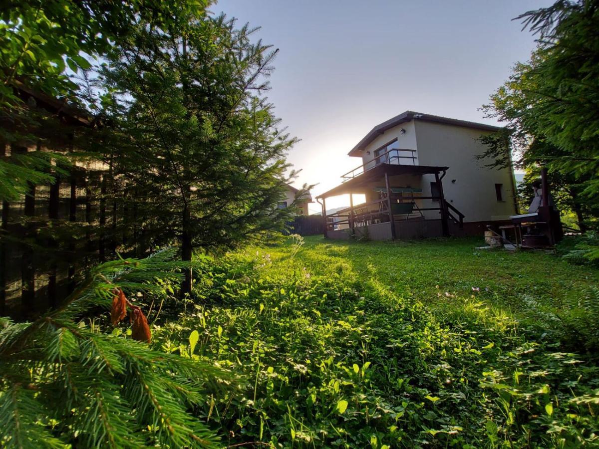 C House Villa Busteni Bagian luar foto