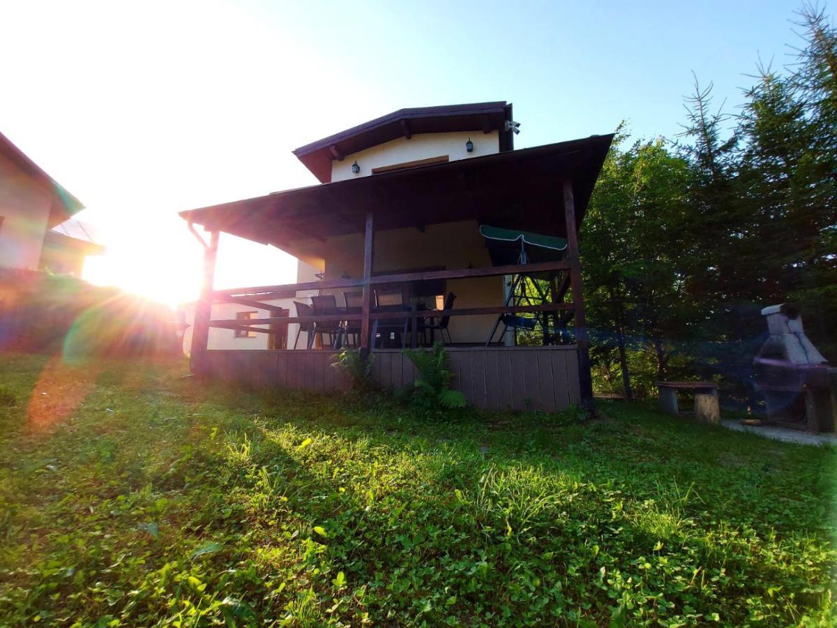 C House Villa Busteni Bagian luar foto