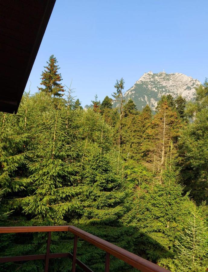 C House Villa Busteni Bagian luar foto